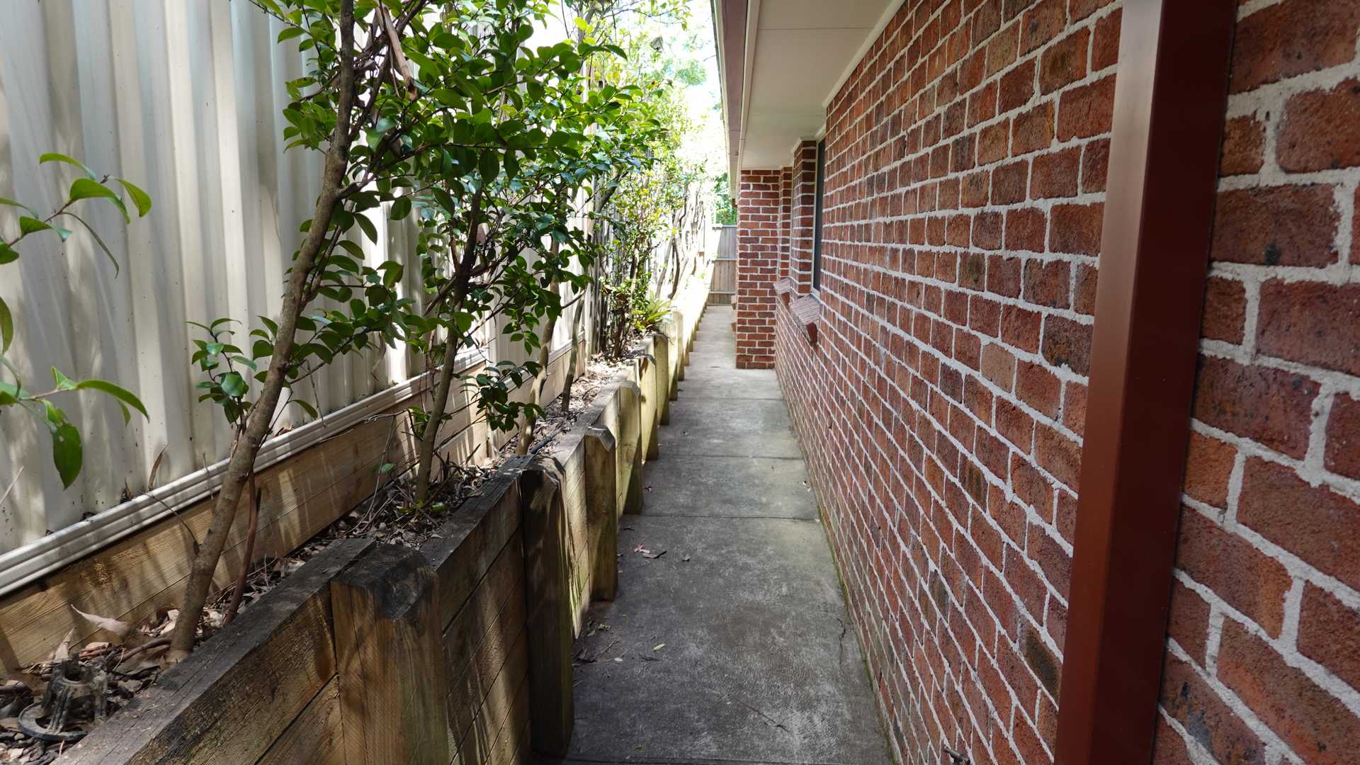DSC09966