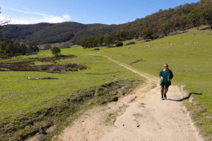 Paloma on a farm fire trail.