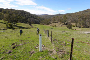Paloma and Paul walking up a steep fenceline, with a track marker in the foreground.