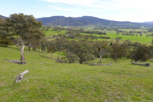 View from teh final top.