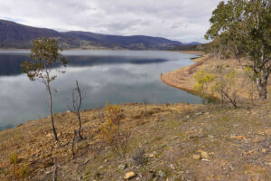 A view over lake Blowering. There were many views like this duing the day. Note the dam is only about 60% full.