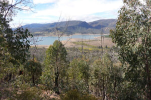 View over Blowering towardsTalbingo from the top of the ridge.